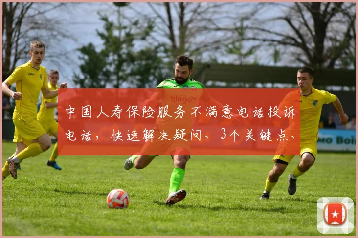 中国人寿保险服务不满意电话投诉电话，快速解决疑问，3个关键点，助您无忧理赔，快速处理投诉