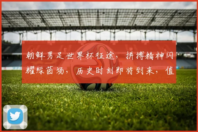 朝鲜男足世界杯征途，拼搏精神闪耀绿茵场，历史时刻即将到来，值得关注