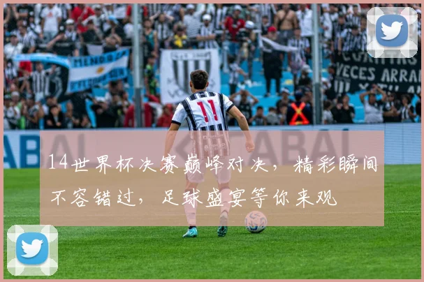 14世界杯决赛巅峰对决，精彩瞬间不容错过，足球盛宴等你来观