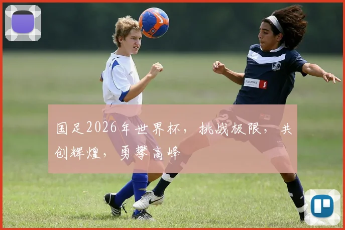 国足2026年世界杯，挑战极限，共创辉煌，勇攀高峰
