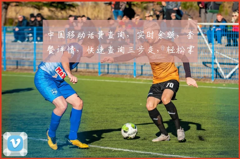 中国移动话费查询，实时余额，套餐详情，快速查询三步走，轻松掌握